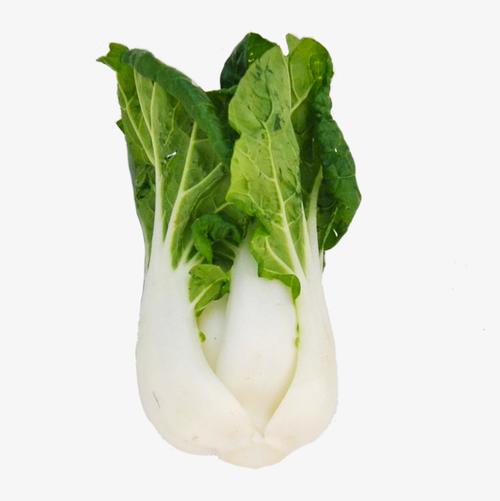 10月24日24時起成品油價格按機制下調