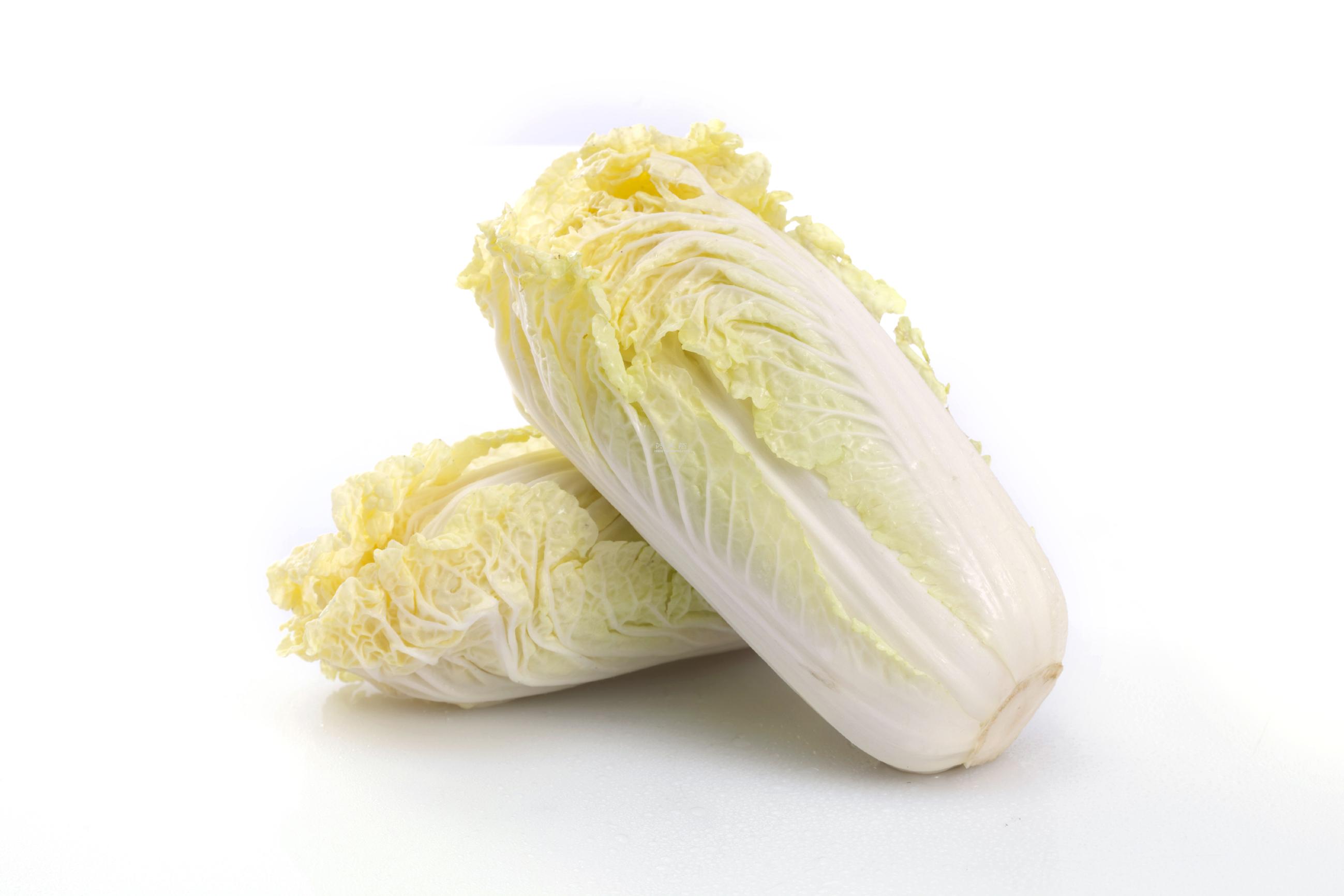 東莞市2023年第40周砂石批發價格監測信息