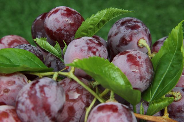 東莞市2023年第40周砂石批發價格監測信息