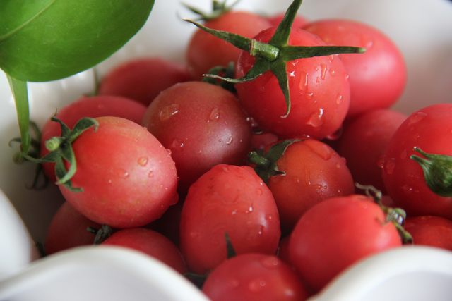 東莞市2023年9月份農業生產資料零售價格監測信息