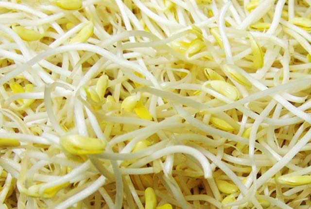 網(wǎng)絡(luò)購物送貨 上門。