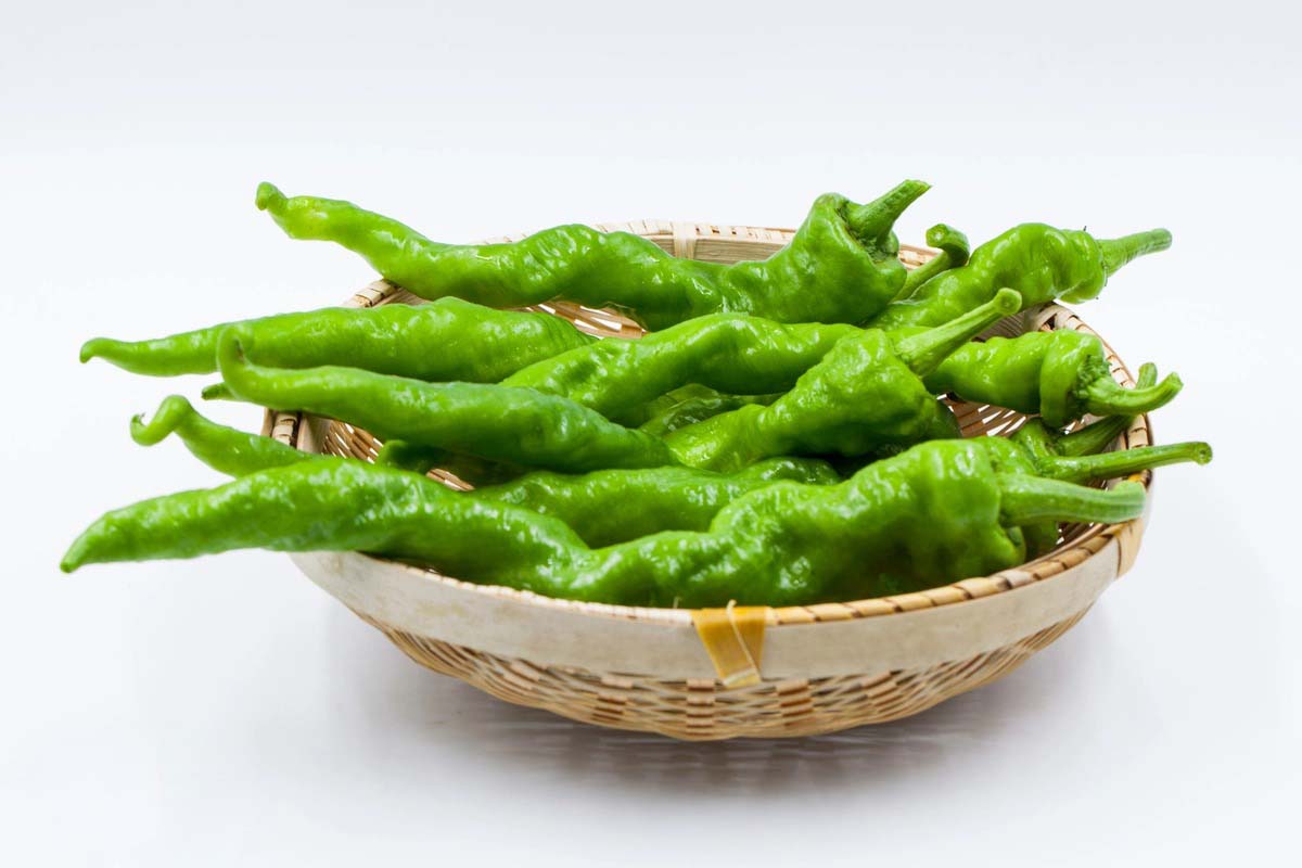 大型蔬菜配送提供檢測報告嗎 安全放心配送