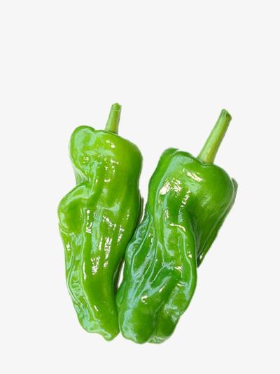 大型蔬菜配送要辦什么證書資質(zhì)要求高