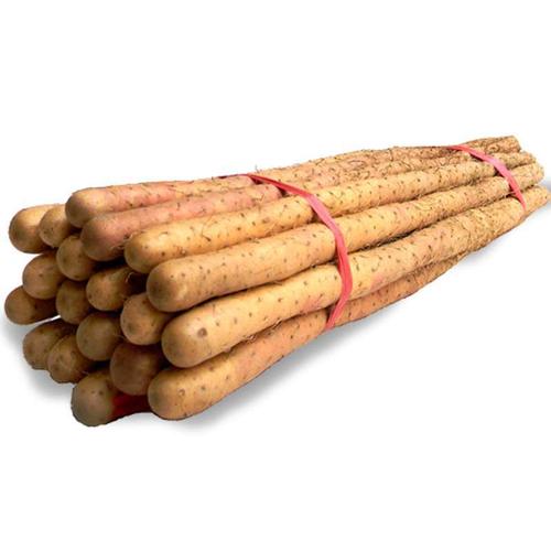 首宏蔬菜運輸公司致力于生鮮食品的高效配送