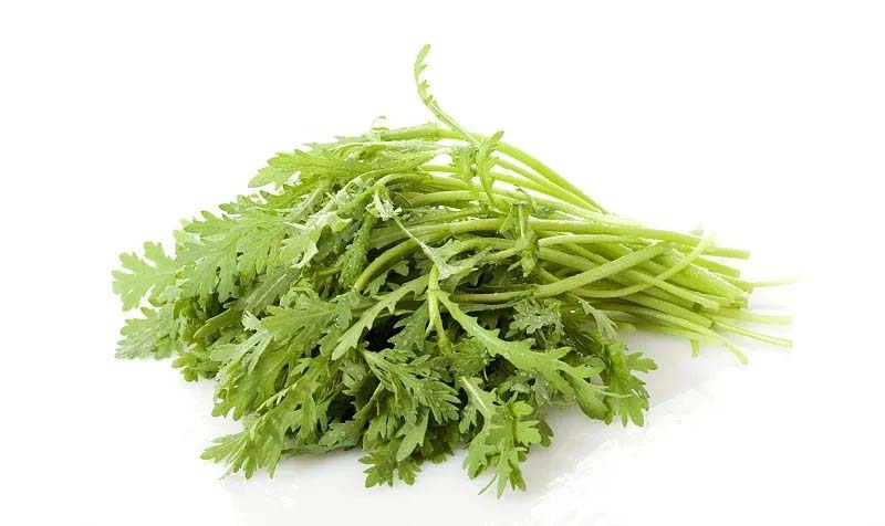 首宏蔬菜運輸公司致力于高效農產品配送