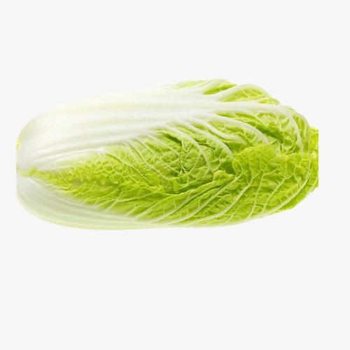 首宏蔬菜運輸公司蔬菜配送價格的綜合解讀