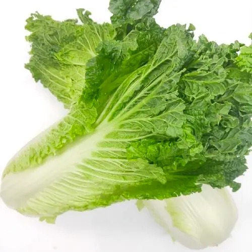 食材配送相關(guān)問題的探尋與解決