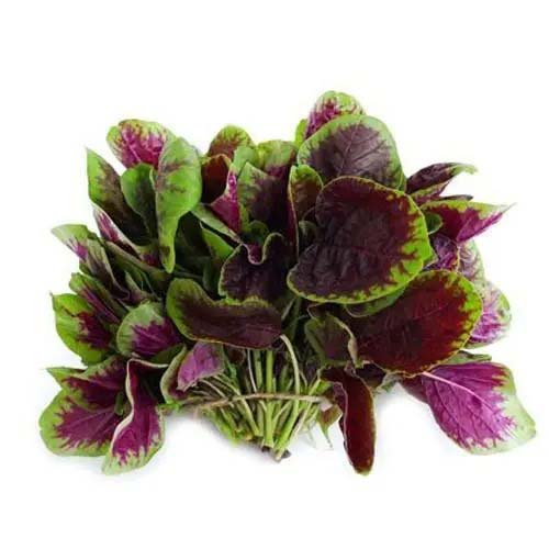 享受足不出戶網(wǎng)購鮮活菜品，盡在送貨上門app