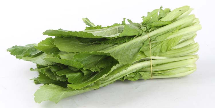 快遞小秘密：配送公司暴露！