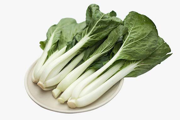 龍華福誠工廠蔬菜配送到家