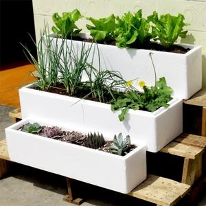 雙福蔬菜批發配送司機招聘