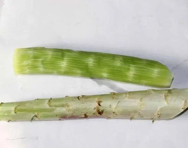 新鮮直達(dá)！網(wǎng)上蔬菜配送服務(wù)