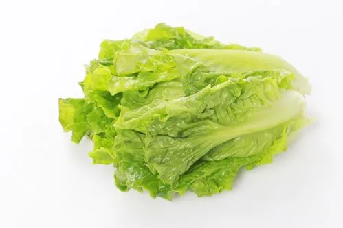 松崗蔬菜配送服務(wù)，新鮮美味直達(dá)您家！