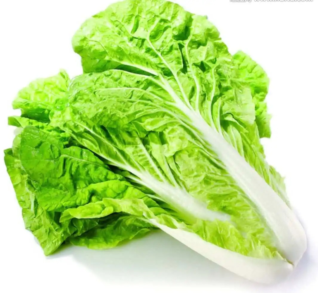 桐鄉(xiāng)蔬菜配送中心，新鮮速遞，當(dāng)日到達(dá)！