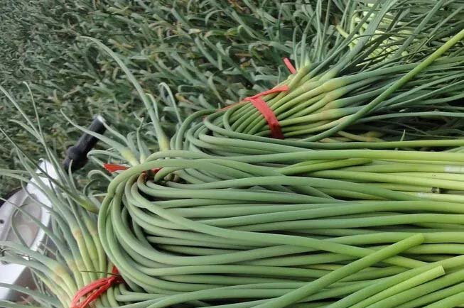 平原縣蔬菜水果配送中心