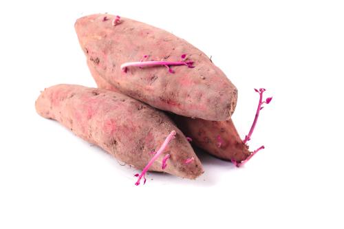 蔬菜到家，一鍵下單，方便快捷！- 蔬菜配送小程序