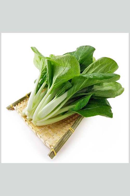 玉欽蔬菜批發配送電話